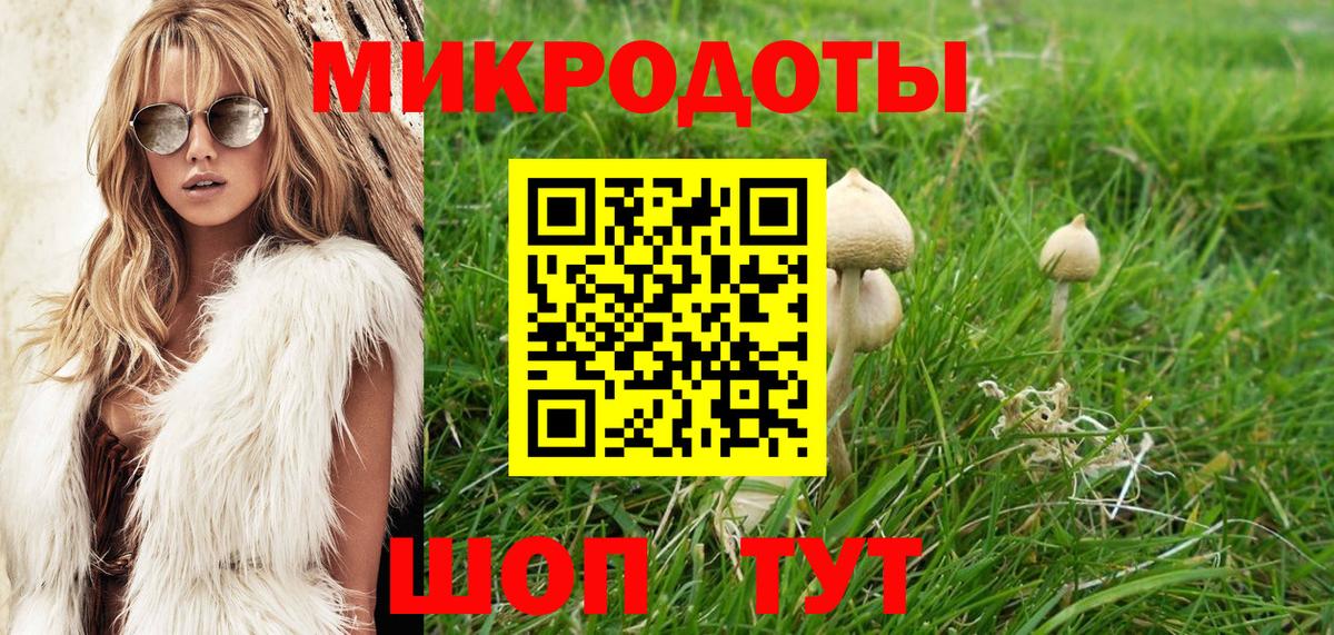 Кандалакша  продажа наркотиков  Галлюциногенные грибы мицелий  Вход с VPN  Псилоцибиновые грибы прущие грибы 