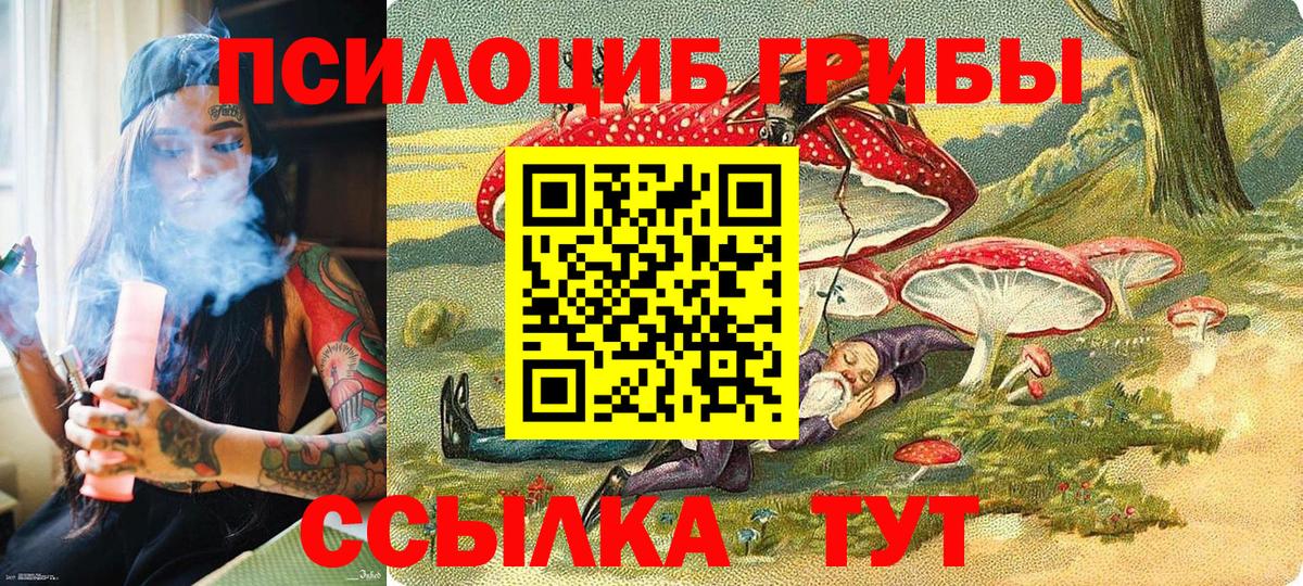 Галлюциногенные грибы прущие грибы Кандалакша